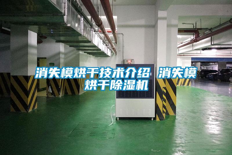 消失模烘干技術(shù)介紹 消失模烘干除濕機(jī)