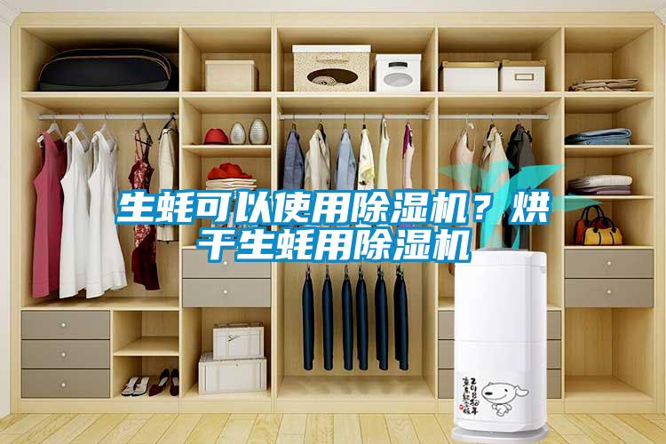 生蠔可以使用除濕機(jī)？烘干生蠔用除濕機(jī)
