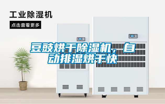 豆豉烘干除濕機，自動排濕烘干快