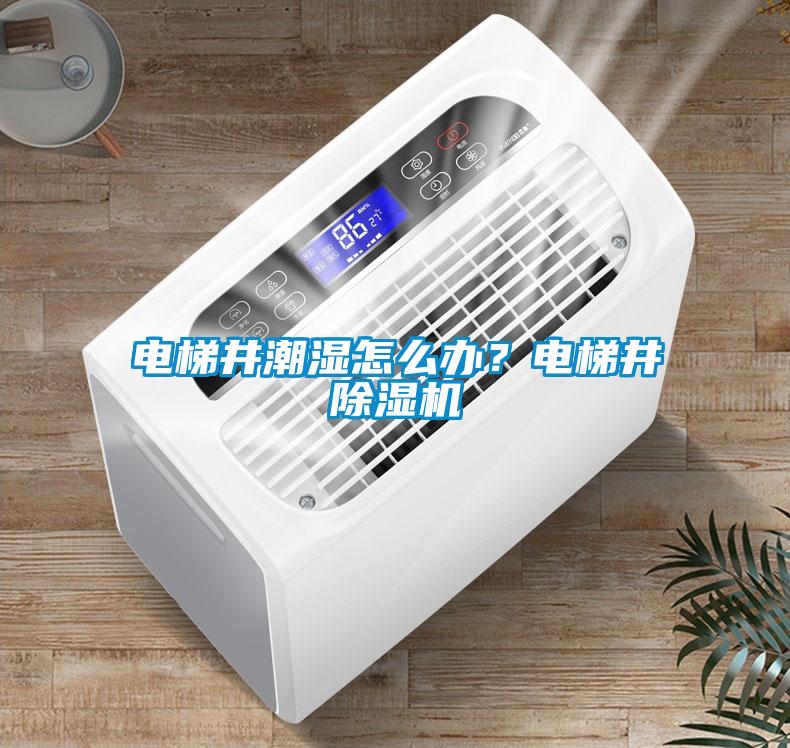 電梯井潮濕怎么辦？電梯井除濕機(jī)