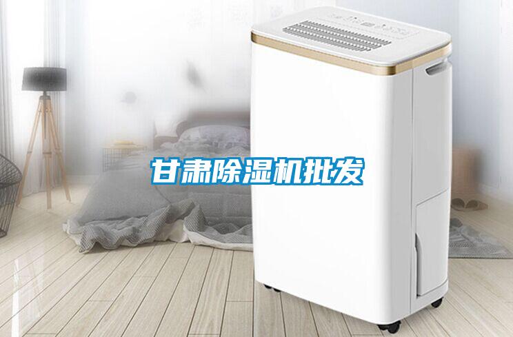 甘肅除濕機(jī)批發(fā)