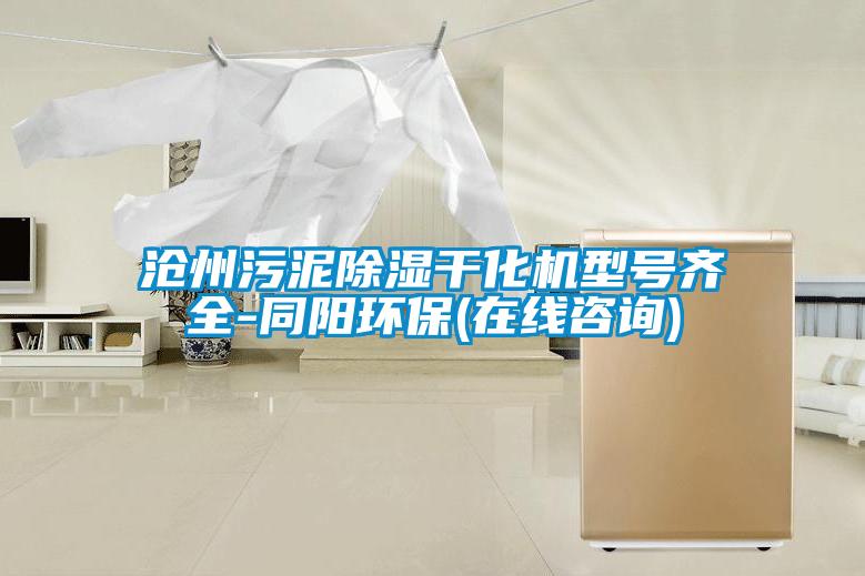 滄州污泥除濕干化機(jī)型號(hào)齊全-同陽(yáng)環(huán)保(在線咨詢(xún))
