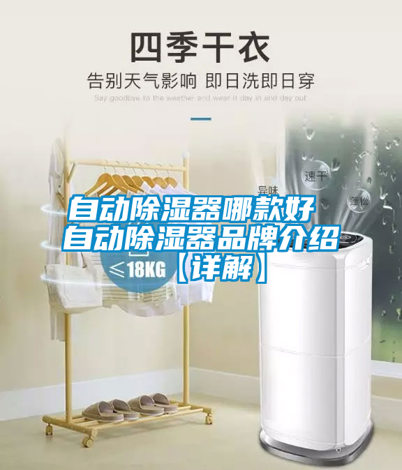 自動(dòng)除濕器哪款好 自動(dòng)除濕器品牌介紹【詳解】