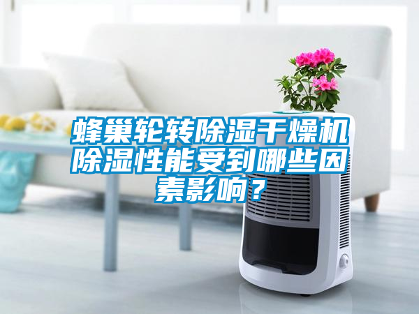 蜂巢輪轉(zhuǎn)除濕干燥機(jī)除濕性能受到哪些因素影響？