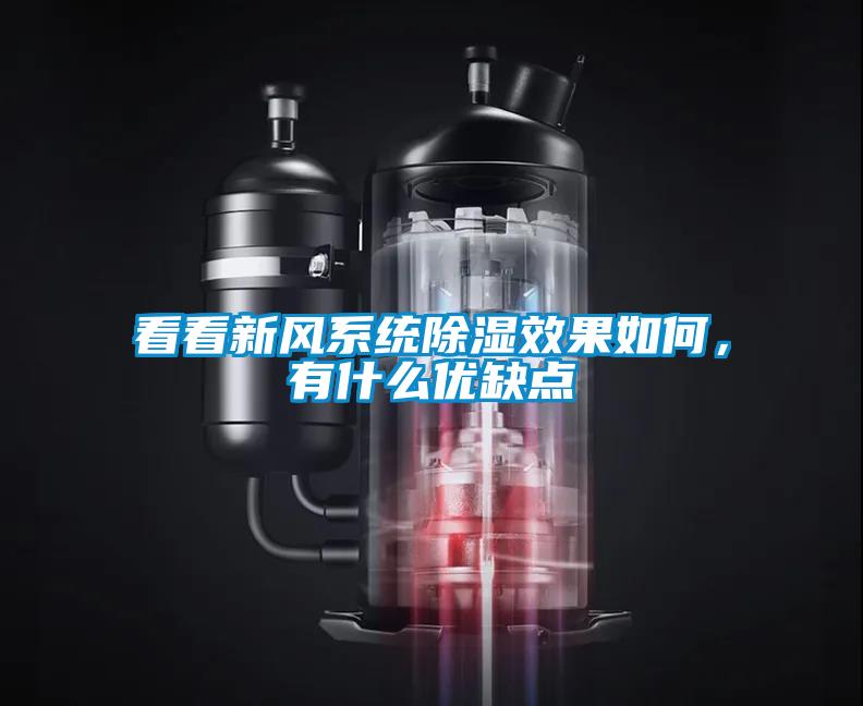 看看新風系統(tǒng)除濕效果如何，有什么優(yōu)缺點