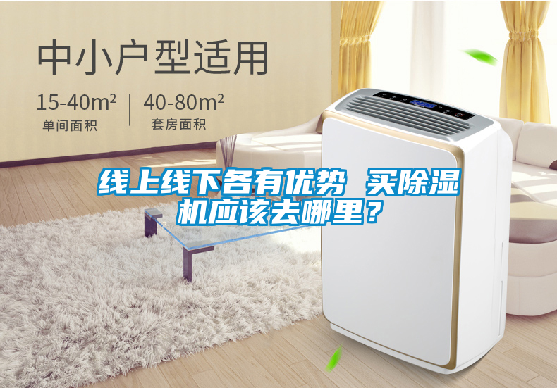 線上線下各有優(yōu)勢(shì) 買除濕機(jī)應(yīng)該去哪里？