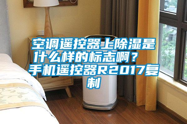空調(diào)遙控器上除濕是什么樣的標(biāo)志??？ 手機(jī)遙控器R2017復(fù)制