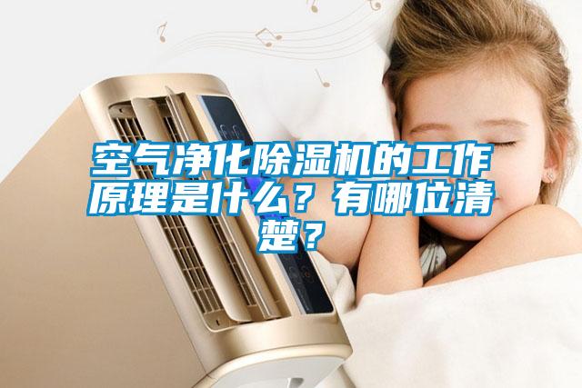 空氣凈化除濕機(jī)的工作原理是什么？有哪位清楚？