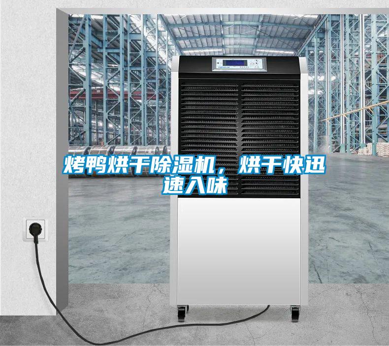 烤鴨烘干除濕機(jī)，烘干快迅速入味