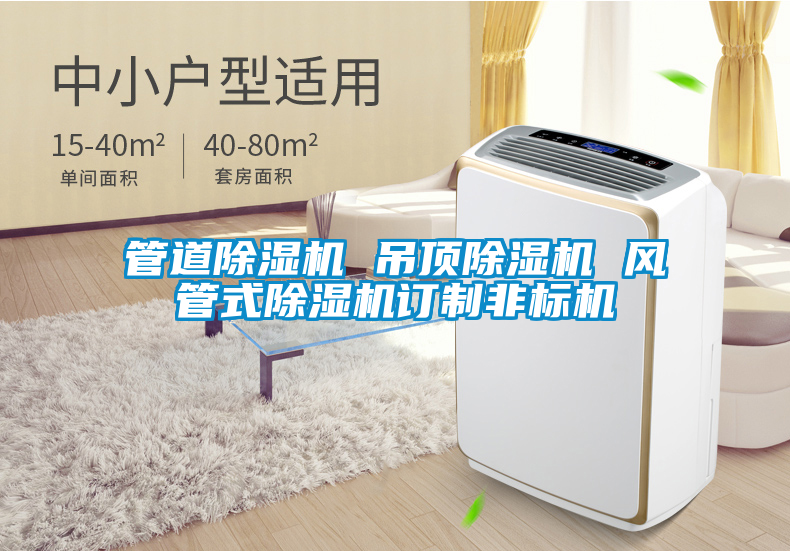 管道除濕機(jī) 吊頂除濕機(jī) 風(fēng)管式除濕機(jī)訂制非標(biāo)機(jī)