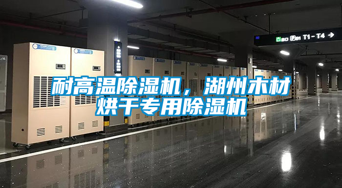 耐高溫除濕機(jī)，湖州木材烘干專用除濕機(jī)