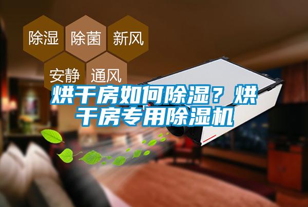 烘干房如何除濕？烘干房專用除濕機(jī)