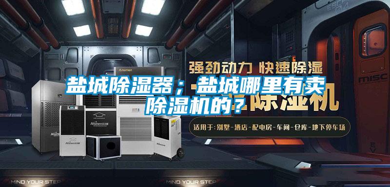 鹽城除濕器；鹽城哪里有賣除濕機的？