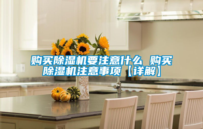購(gòu)買除濕機(jī)要注意什么 購(gòu)買除濕機(jī)注意事項(xiàng)【詳解】