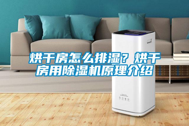 烘干房怎么排濕？烘干房用除濕機(jī)原理介紹