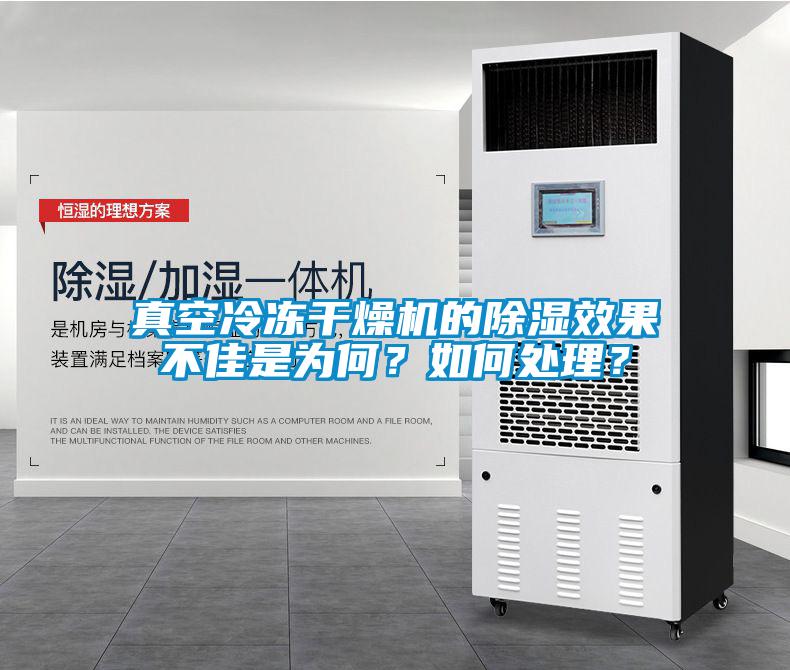 真空冷凍干燥機的除濕效果不佳是為何？如何處理？