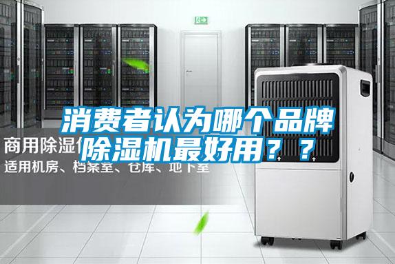 消費(fèi)者認(rèn)為哪個品牌除濕機(jī)最好用？？
