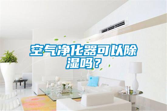 空氣凈化器可以除濕嗎？