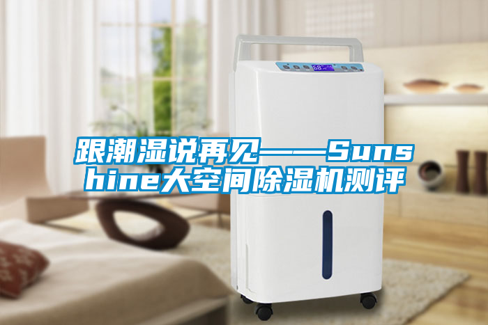 跟潮濕說再見——Sunshine大空間除濕機(jī)測評(píng)