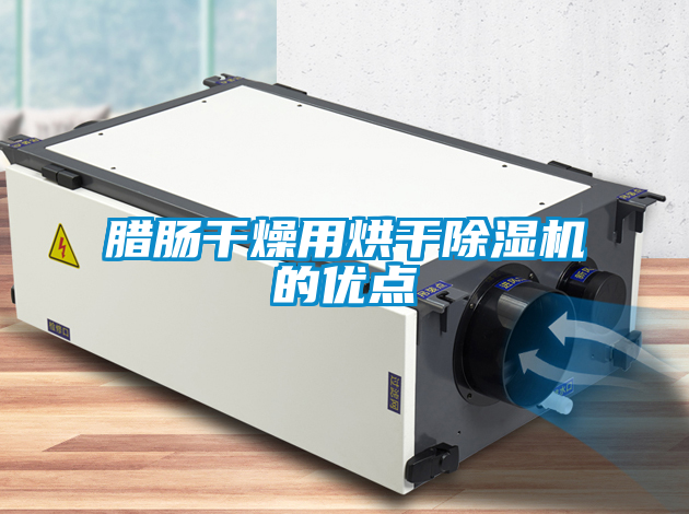 臘腸干燥用烘干除濕機(jī)的優(yōu)點(diǎn)