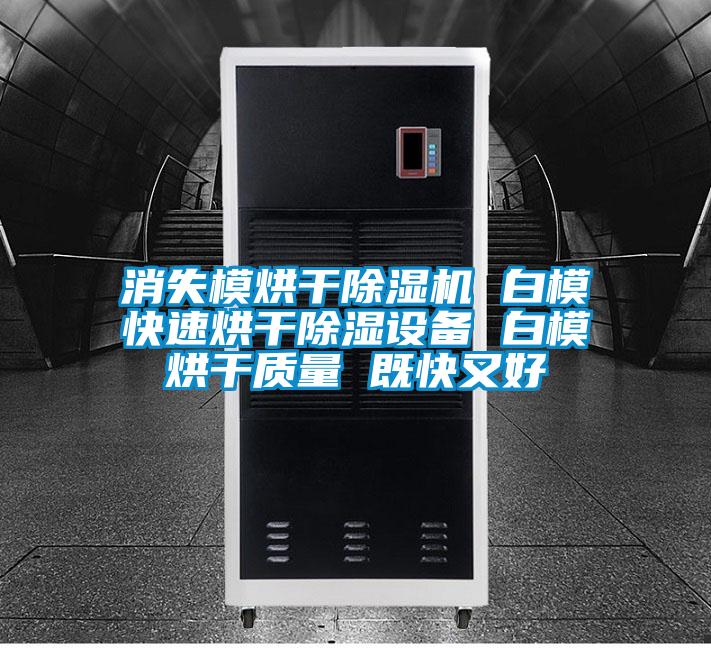 消失模烘干除濕機(jī) 白?？焖俸娓沙凉裨O(shè)備 白模烘干質(zhì)量 既快又好