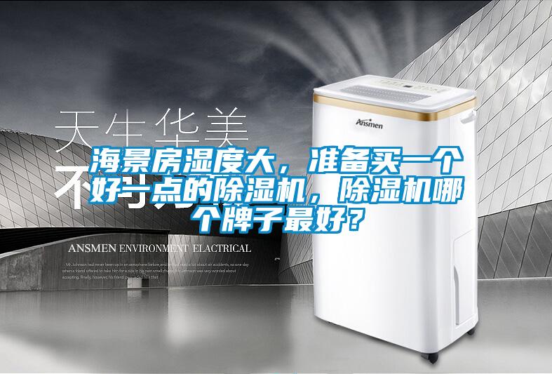海景房濕度大，準備買一個好一點的除濕機，除濕機哪個牌子最好？