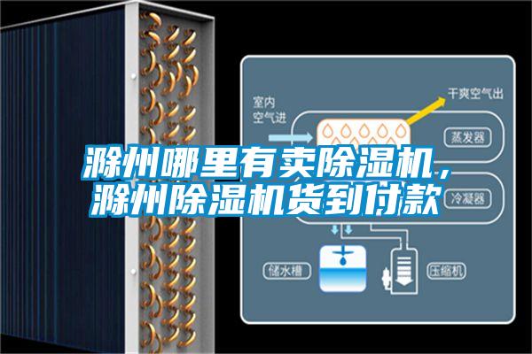滁州哪里有賣除濕機(jī)，滁州除濕機(jī)貨到付款