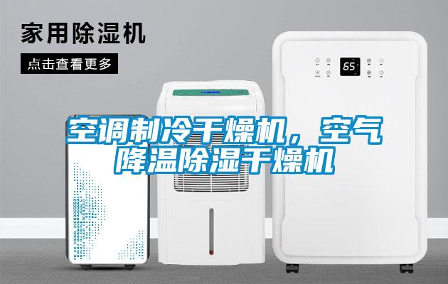空調(diào)制冷干燥機，空氣降溫除濕干燥機