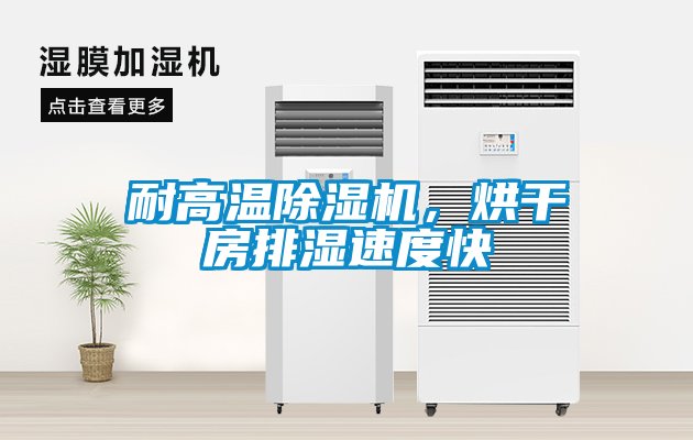 耐高溫除濕機(jī)，烘干房排濕速度快