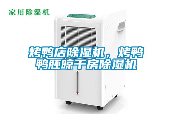 烤鴨店除濕機，烤鴨鴨胚晾干房除濕機
