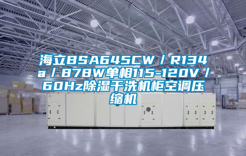 海立BSA645CW／R134a／878W單相115-120V／60Hz除濕干洗機柜空調(diào)壓縮機