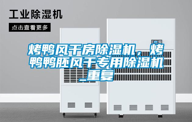 烤鴨風(fēng)干房除濕機(jī)，烤鴨鴨胚風(fēng)干專用除濕機(jī)_重復(fù)