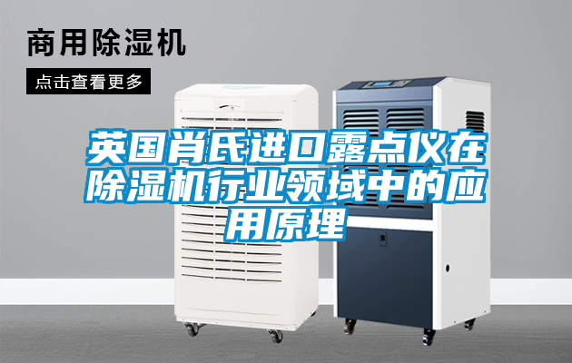 英國肖氏進口露點儀在除濕機行業(yè)領域中的應用原理