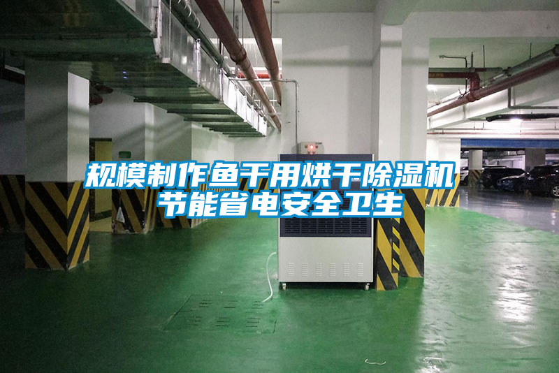 規(guī)模制作魚干用烘干除濕機(jī) 節(jié)能省電安全衛(wèi)生