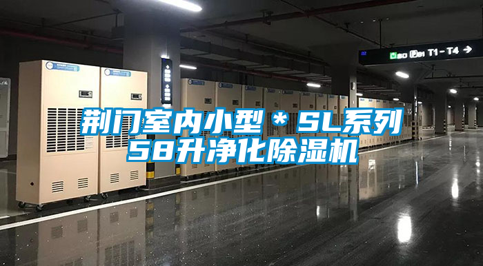 荊門(mén)室內(nèi)小型＊SL系列58升凈化除濕機(jī)
