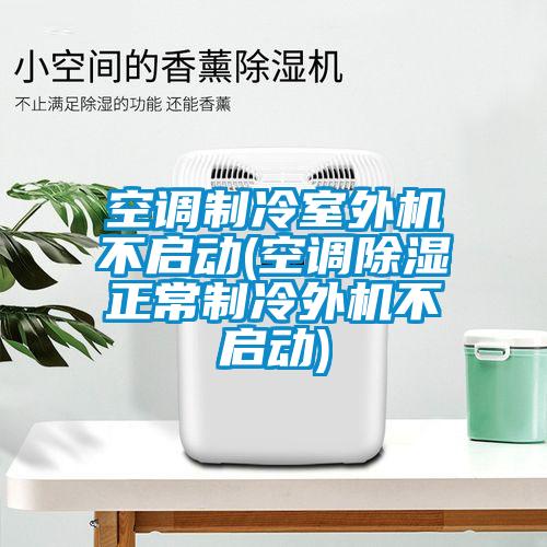 空調(diào)制冷室外機不啟動(空調(diào)除濕正常制冷外機不啟動)