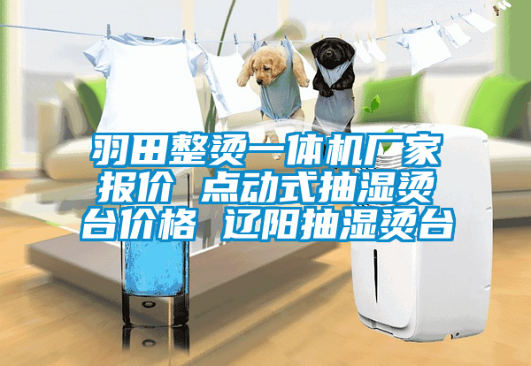 羽田整燙一體機(jī)廠家報(bào)價(jià) 點(diǎn)動(dòng)式抽濕燙臺(tái)價(jià)格 遼陽(yáng)抽濕燙臺(tái)