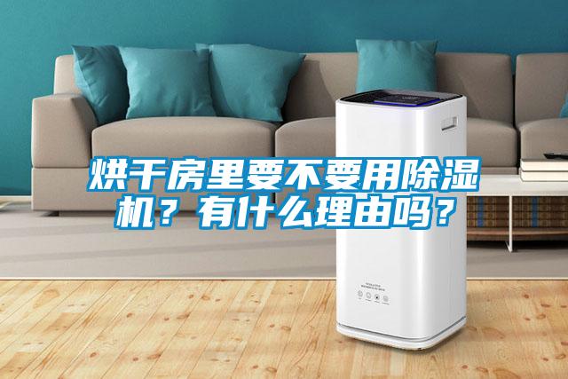 烘干房里要不要用除濕機(jī)？有什么理由嗎？
