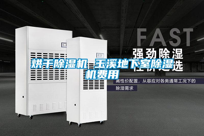 烘干除濕機(jī) 玉溪地下室除濕機(jī)費(fèi)用