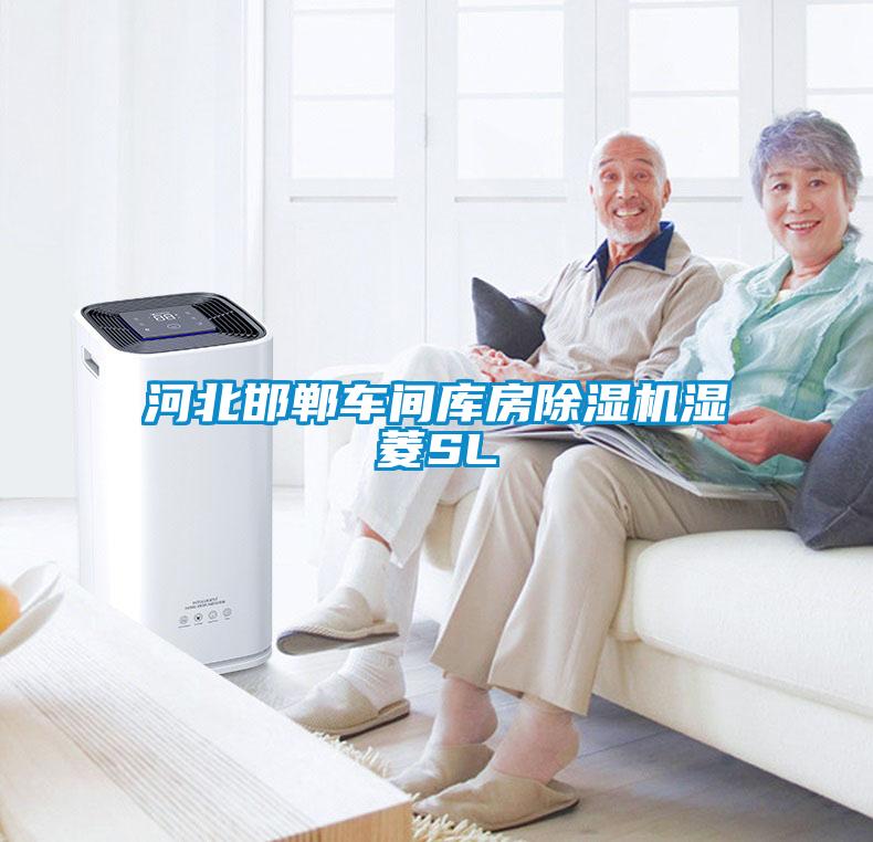 河北邯鄲車(chē)間庫(kù)房除濕機(jī)濕菱SL