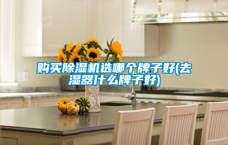 購(gòu)買除濕機(jī)選哪個(gè)牌子好(去濕器什么牌子好)