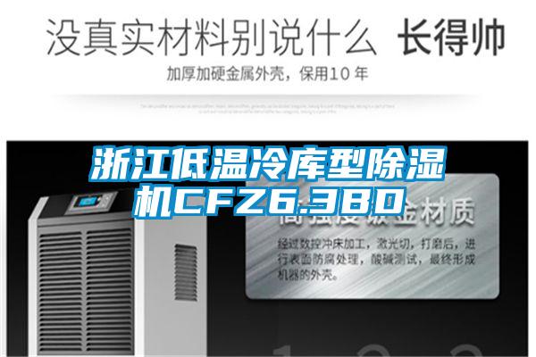 浙江低溫冷庫型除濕機(jī)CFZ6.3BD