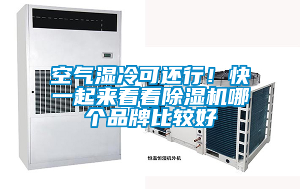 空氣濕冷可還行！快一起來(lái)看看除濕機(jī)哪個(gè)品牌比較好