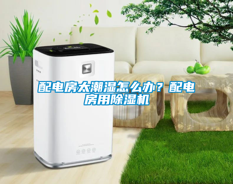 配電房太潮濕怎么辦？配電房用除濕機