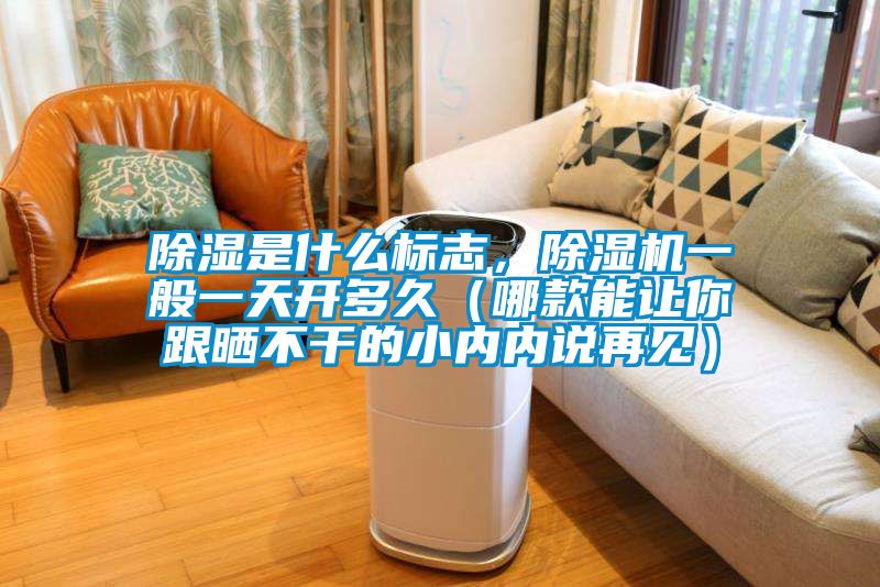 除濕是什么標(biāo)志，除濕機(jī)一般一天開多久（哪款能讓你跟曬不干的小內(nèi)內(nèi)說再見）
