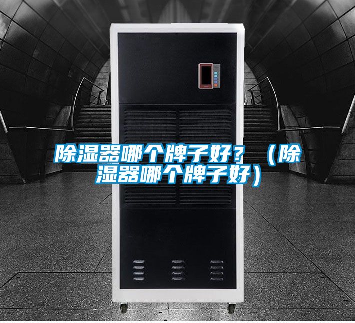 除濕器哪個(gè)牌子好？（除濕器哪個(gè)牌子好）