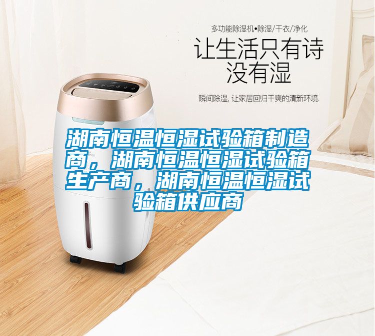 湖南恒溫恒濕試驗箱制造商，湖南恒溫恒濕試驗箱生產(chǎn)商，湖南恒溫恒濕試驗箱供應(yīng)商