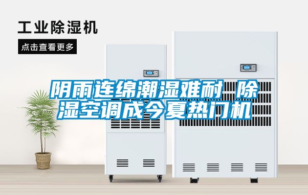 陰雨連綿潮濕難耐 除濕空調(diào)成今夏熱門(mén)機(jī)