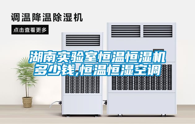 湖南實(shí)驗室恒溫恒濕機(jī)多少錢,恒溫恒濕空調(diào)