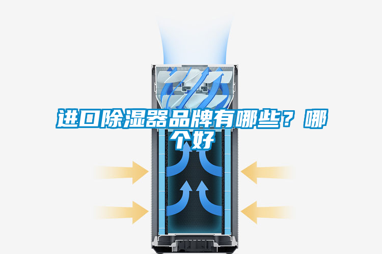 進(jìn)口除濕器品牌有哪些？哪個(gè)好
